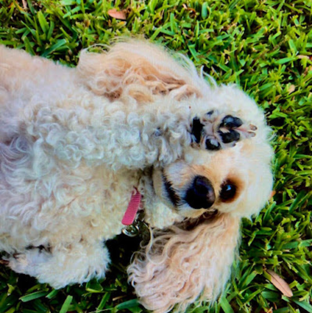 Meet your Posher, Kyla